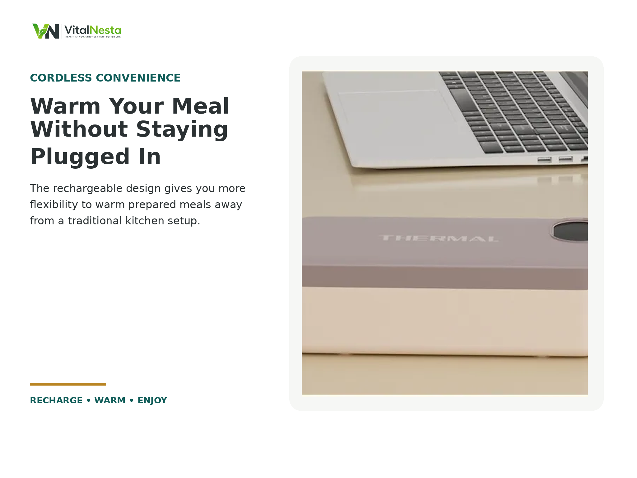 VitalHeat Cordless Heated Lunch Box highlighting cordless waterless meal heating
